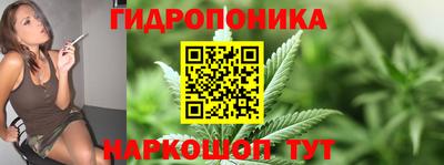 индика Донецк