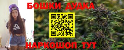 индика Донецк