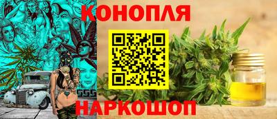 индика Донецк