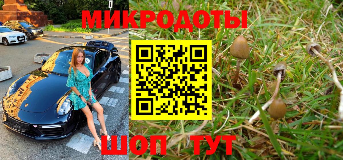 Псилоцибиновые грибы ЛСД Кыштым